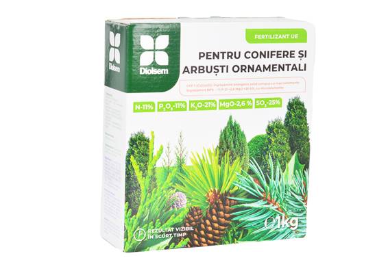 Ingrasamant Conifere, Arbusti