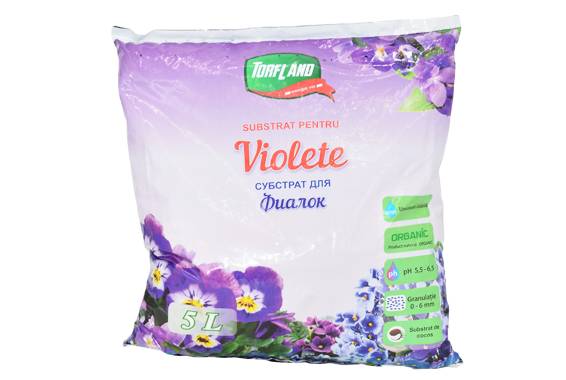 Substrat pentru Violete
