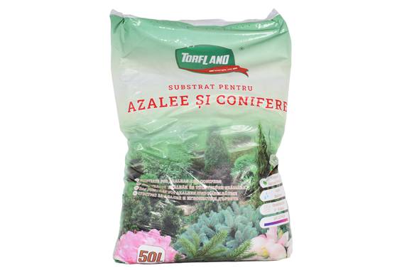 Substrat Azalee si Conifere