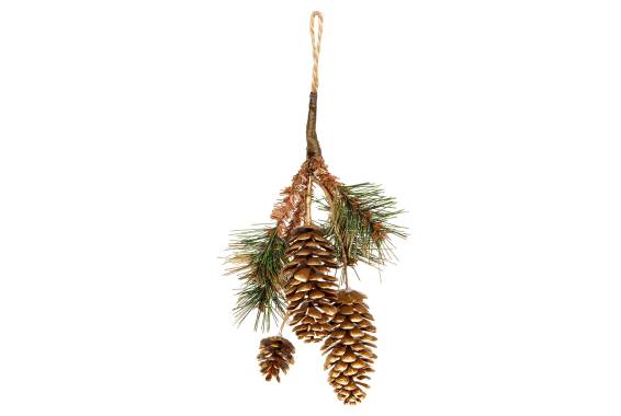 Pick Pinecones