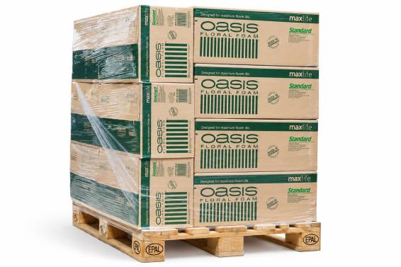 Oasis Standard , la palet