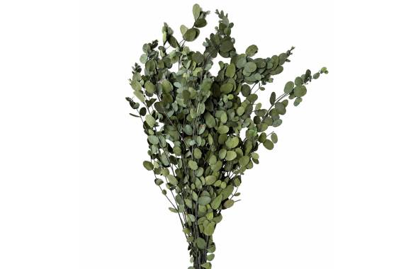 Buchet Gunny