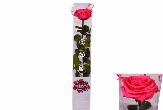 Amorosa Premium Gift Box