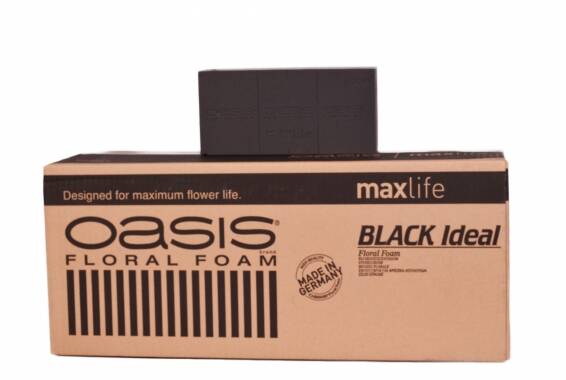 BLACK Oasis Ideal