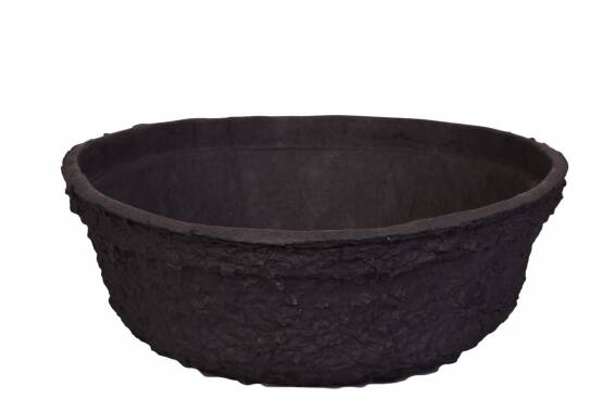 Bol Black Planting
