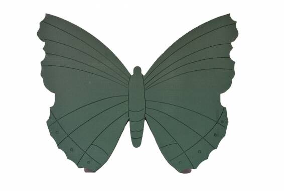 Butterfly Frames