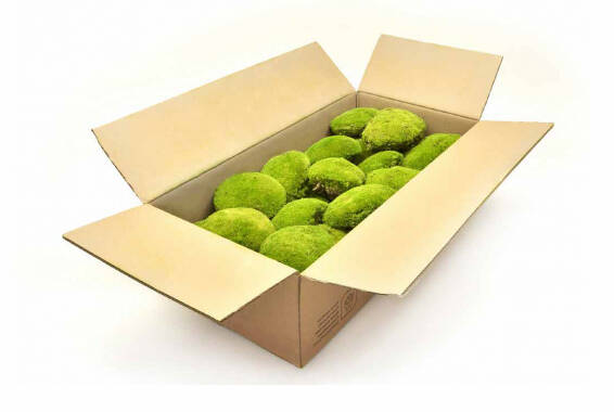 Ball Moss Bulk