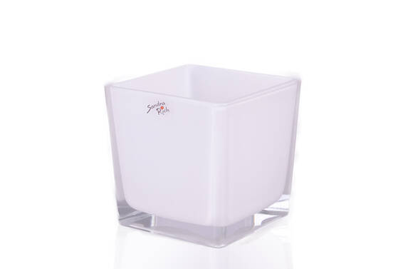 Cub White