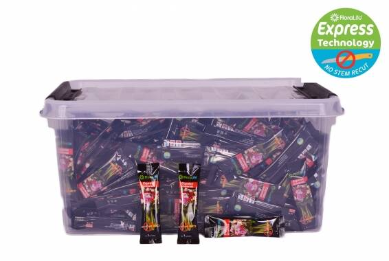 Floralife Expres No Cut