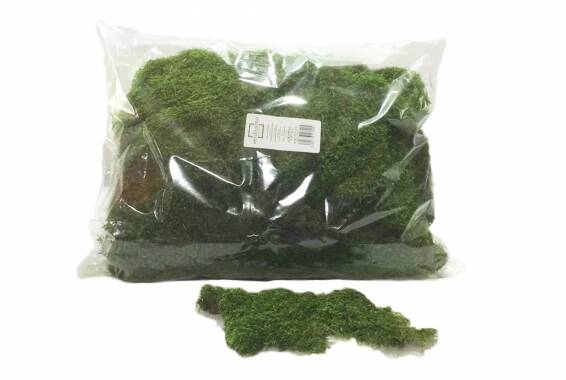 Flat Moss