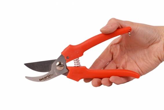 Foarfeca Inox Pruning