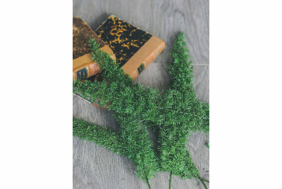FoxTail