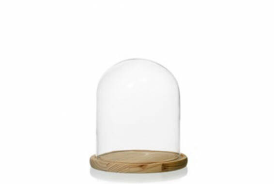 Campana