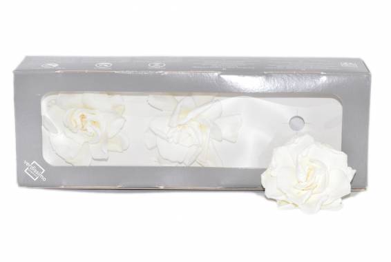 Gardenia