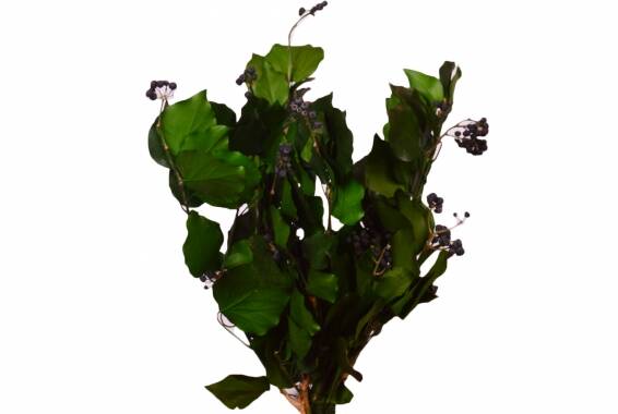 Hedera Fruits buchet