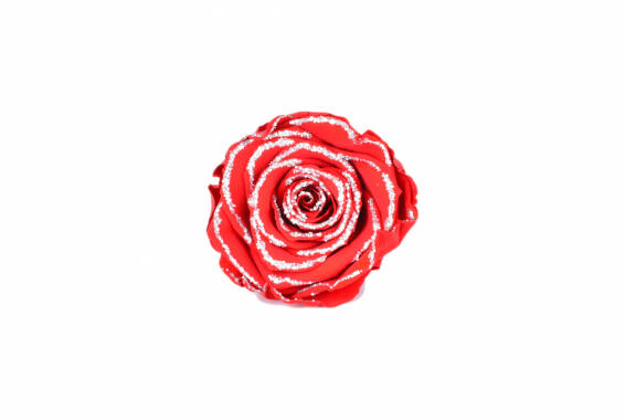 Roseamor LL+ Glitter