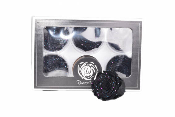 Roseamor Galaxy LL