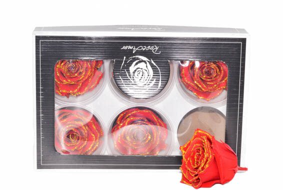 Roseamor LL+ Glitter