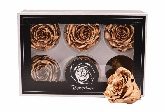 Roseamor LL+ Metal