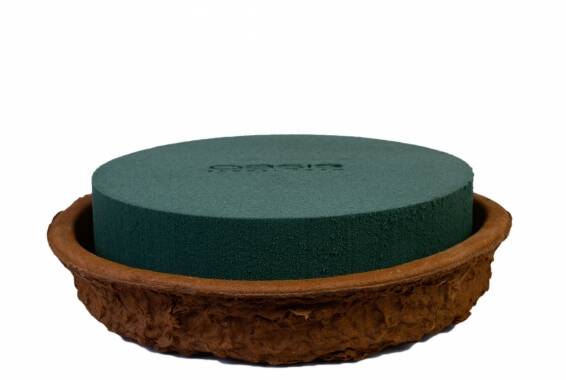 Plate Biolit