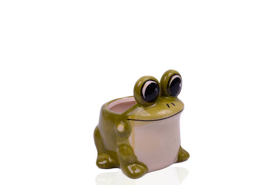 Play frog 