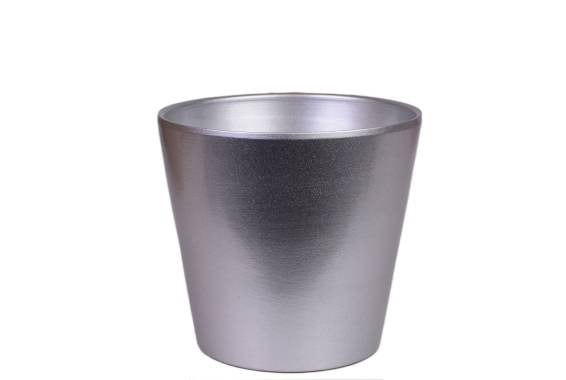 Primrose silver