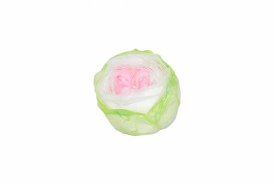 Rosa Garden