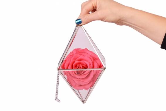 Terrarium Diamond