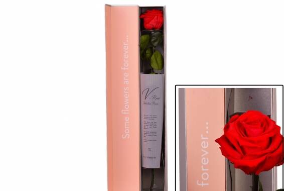 V ROSE