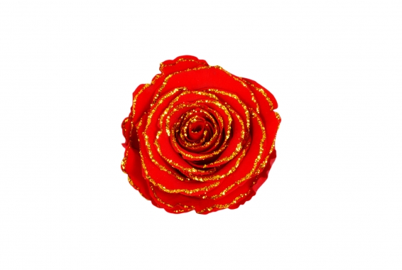 Roseamor XL Glitter