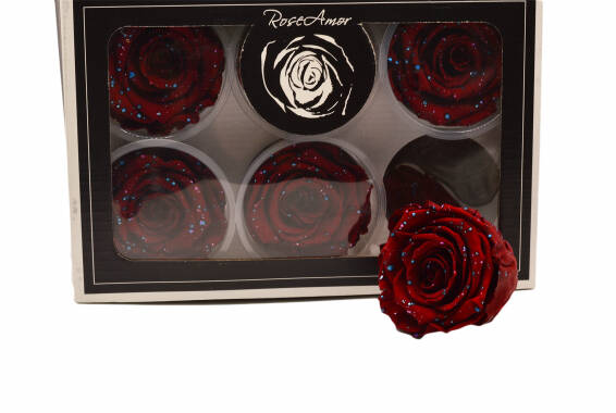 Roseamor Galaxy XL