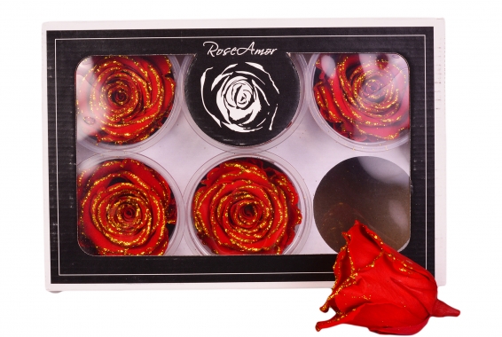Roseamor XL Glitter