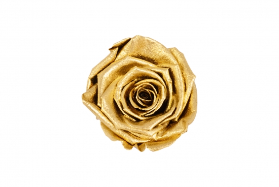 Roseamor XL Metal