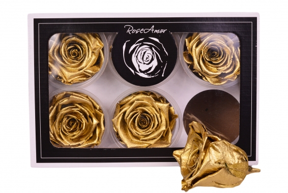 Roseamor XL Metal