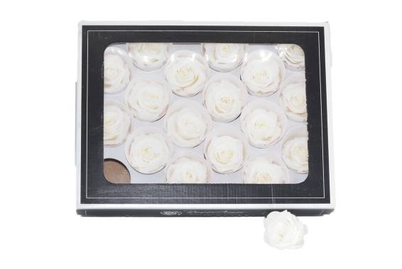 Roseamor XS