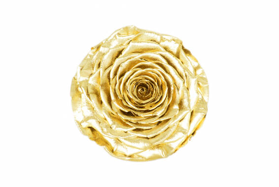 Roseamor XXL Metallic