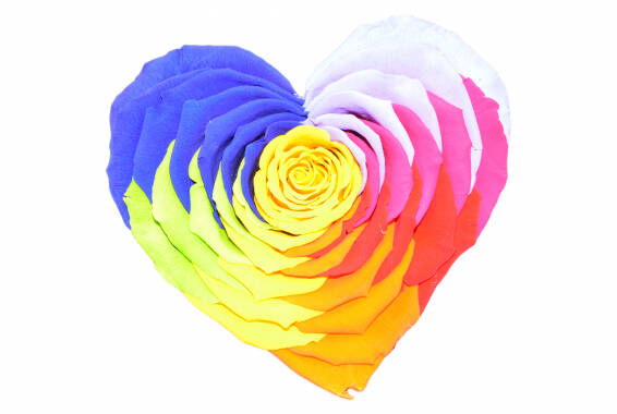 Roseamor Rainbow XXL Heart